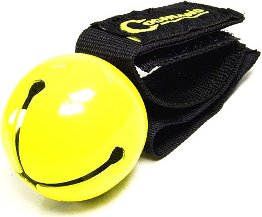 Forest Safety: How to Protect Your Campsite from Insects and Wildlife Coghlan