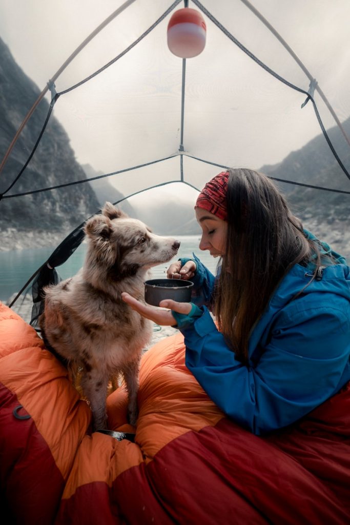 woman in blue jacket sitting beside brown and white dog