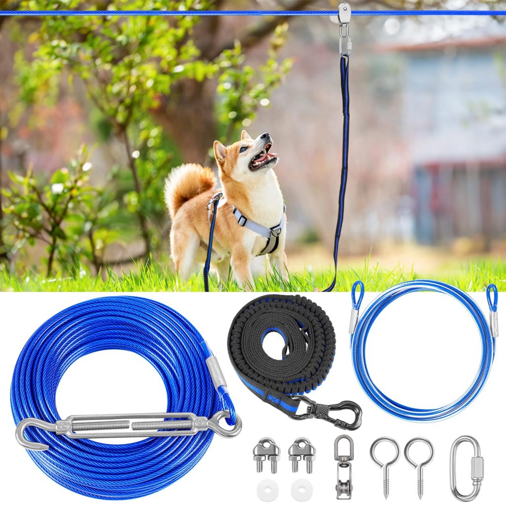 Camping with Your Dog: The Ultimate Gear Checklist for Your Four-Legged Friend BV Pet Tie Out Cable