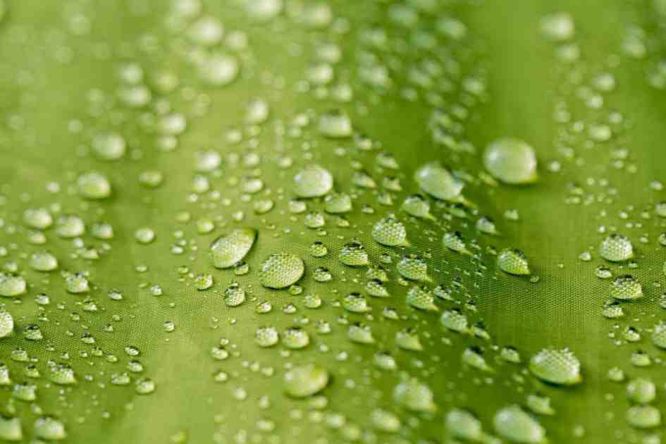 How to Choose a Waterproof Tent: Understanding Waterproof Ratings Hydrostatic Head (HH) Rating