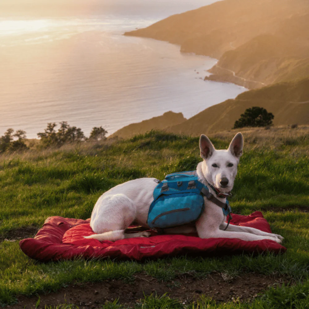 Best Camping Gear for Dogs: Essential, Durable, and Affordable Picks Kurgo Loft Wander Dog Bed