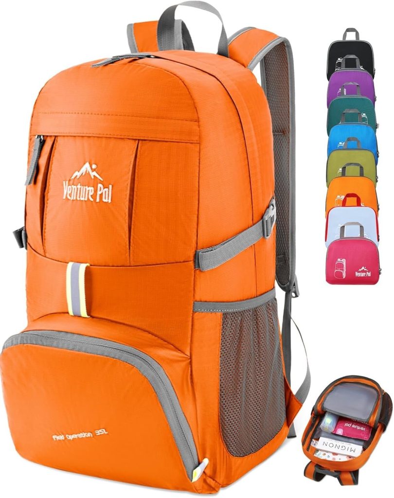 Venture Pal 40L Hiking Backpack