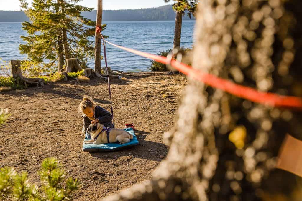 Best Camping Gear for Dogs: Essential, Durable, and Affordable Picks Ruffwear Knot-a-Hitch Dog Camping Leash System