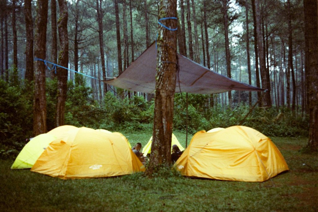a couple of tents sitting in the middle of a forest