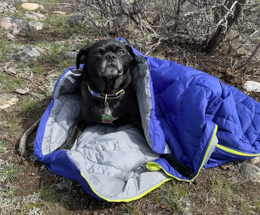 Best Camping Gear for Dogs: Essential, Durable, and Affordable Picks Ruffwear Highlands Dog Sleeping Bag