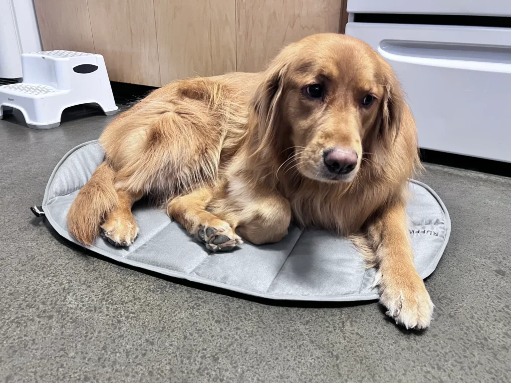 Ruffwear Highlands Bed