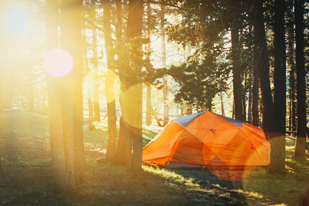 How to Camp Comfortably: The Science of Deluxe Wilderness Living orange tent inside the forest
